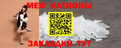 крисы Моздок