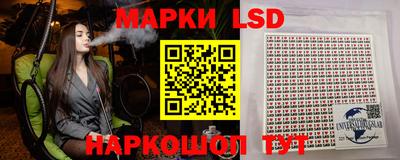 крисы Моздок