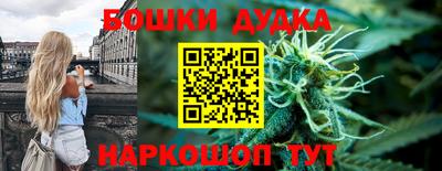 гашик Можга