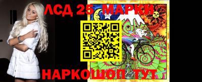 крисы Моздок