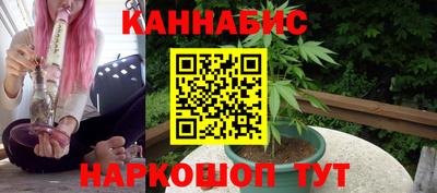 крисы Моздок