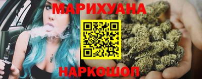 крисы Моздок