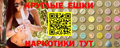 гашик Можга