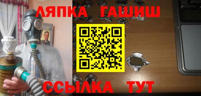 крисы Моздок