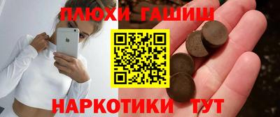 крисы Моздок