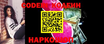 крисы Моздок