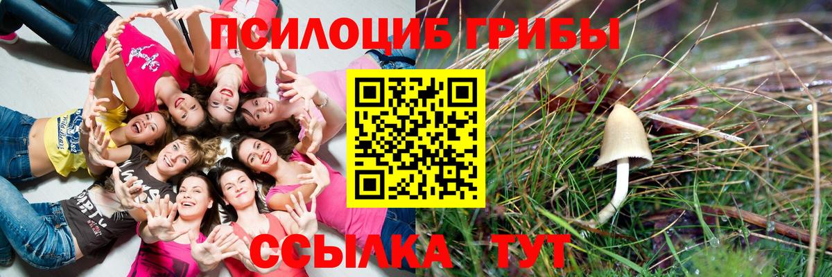 Галлюциногенные грибы MAGIC MUSHROOMS  Галлюциногенные грибы Psilocybine cubensis  Вход с VPN  Тулун 