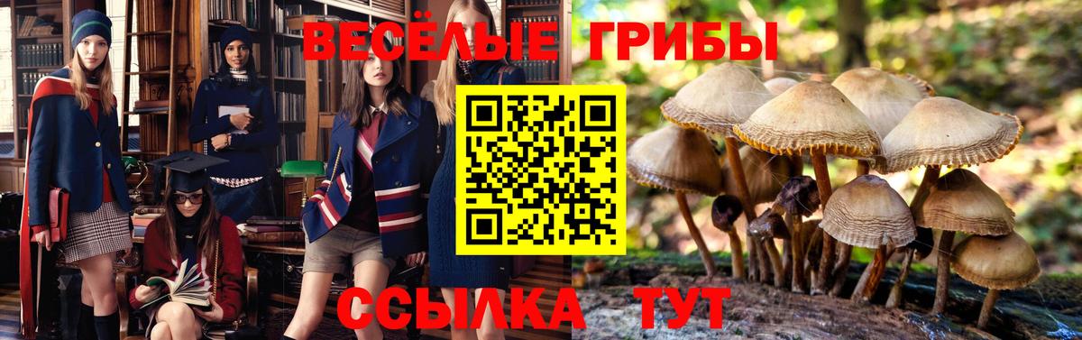 Галлюциногенные грибы мухоморы Тулун